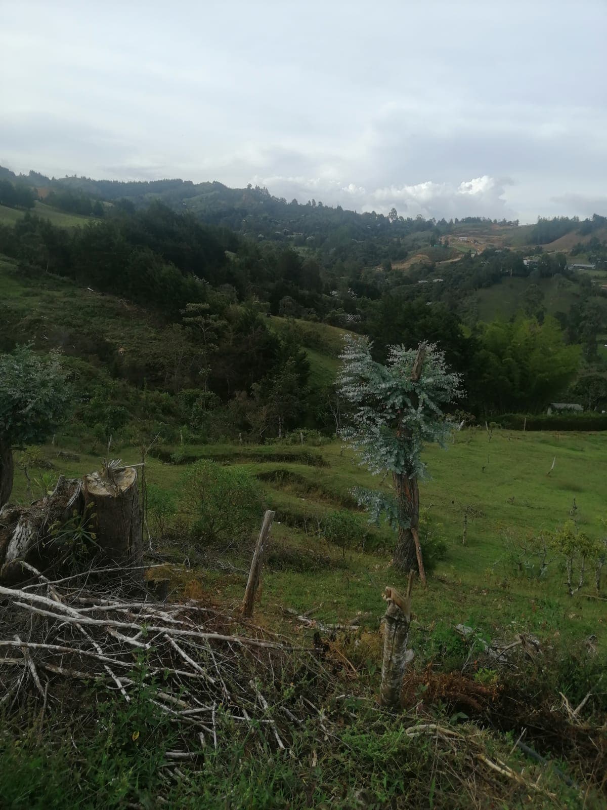 Lote en rionegro antioquia — Rionegro, Medellín